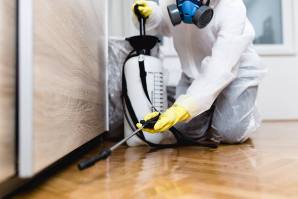 Best Pest Control Near Me  in Ata, OK