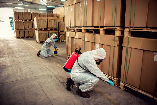 Best Residential Pest Control  in Ata, OK