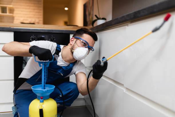 Best Bed Bug Extermination  in Ata, OK
