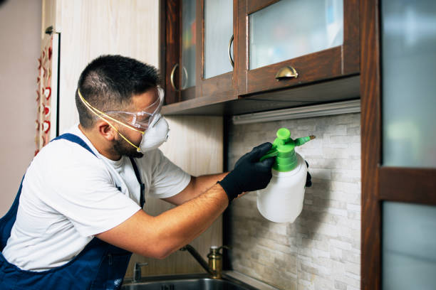 Pest Control Cost in Atoka, OK