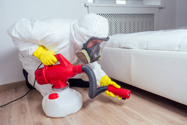 Best Affordable Pest Control Services  in Ata, OK