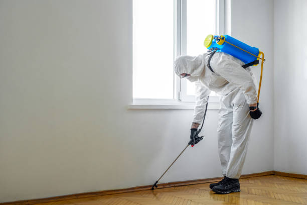 Best Local Pest Control Services  in Ata, OK