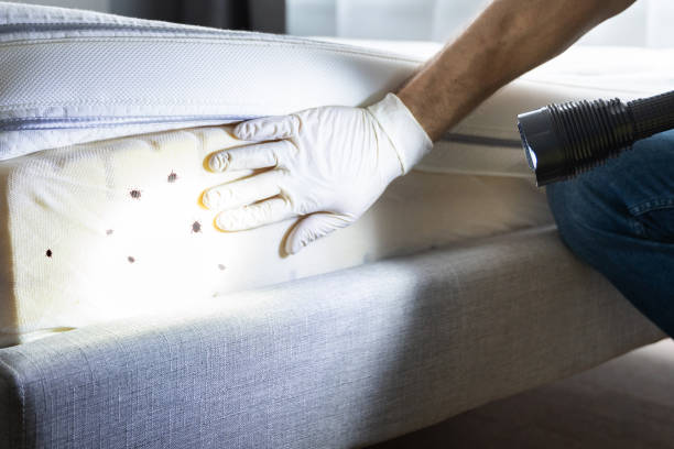 Best Commercial Pest Control Services  in Ata, OK