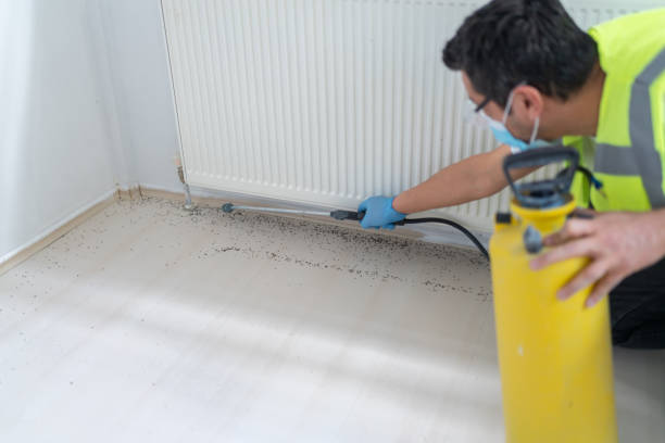Best Pest Prevention Services  in Ata, OK